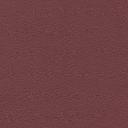 Ultrafabrics
