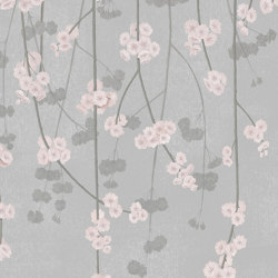 Cherry Blossom - Zen | Wall coverings / wallpapers | Feathr