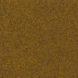 Finett G.T. 2000 | 2002 | Wall-to-wall carpets | Findeisen