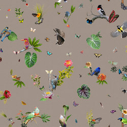 Garden of Eden | Bird Broadloom | Wall-to-wall carpets | moooi carpets