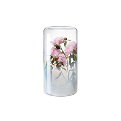 Glasgow | Dining-table accessories | Favius