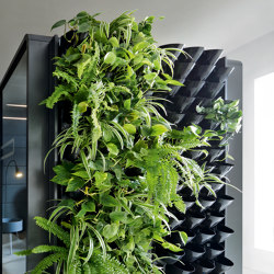 Hushoffice | Agile Office | GreenWall-Living Wall for Pods | Flower displays | Hushoffice