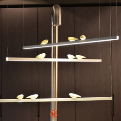 Smoon Birds Looking At | Suspended lights | BEAU&BIEN